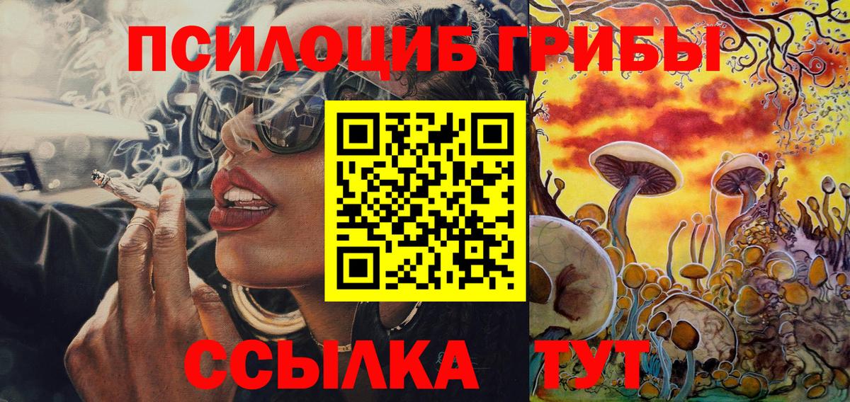 Псилоцибиновые грибы GOLDEN TEACHER Сухой Лог