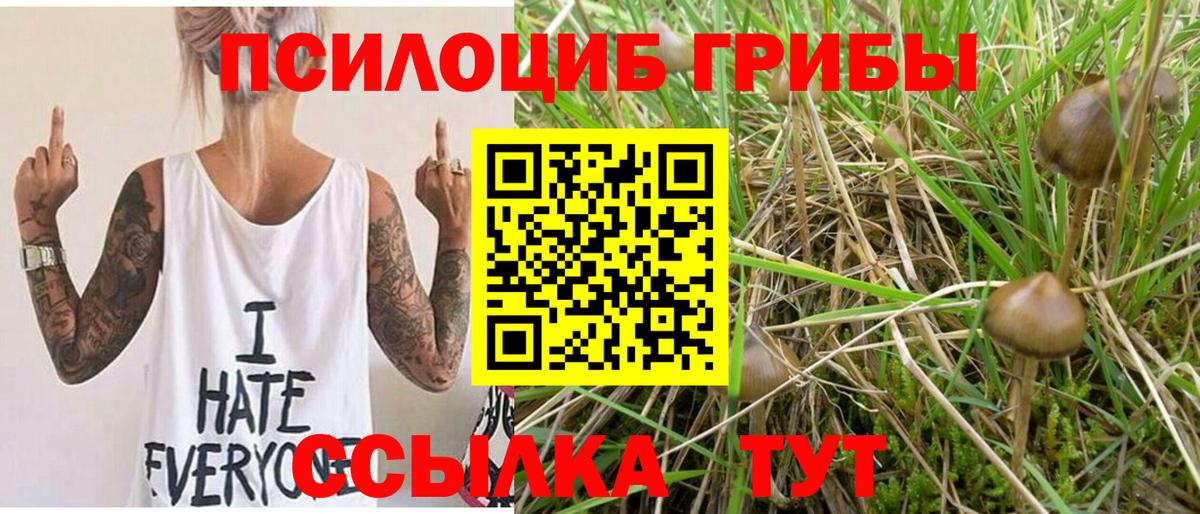 Сухой Лог  Псилоцибиновые грибы Psilocybine cubensis  Вход с VPN 